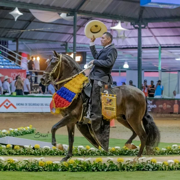 Competencia chalaneria Copa America año 2023