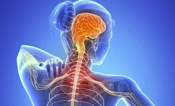 Enfermedades huérfanas: científicos descubren cuál sería la causa que provoca Esclerosis Lateral Amiotrófica